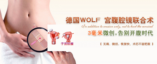 德国wolf宫腹腔镜联合术 治疗各种子宫肌瘤